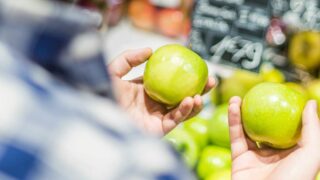 特化ブログと雑記ブログを比較!稼げるのはどっち?